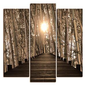 Slika na platnu - Drvena šetnica u šumi bambusa - kvadrat 3172FC (75x75 cm)
