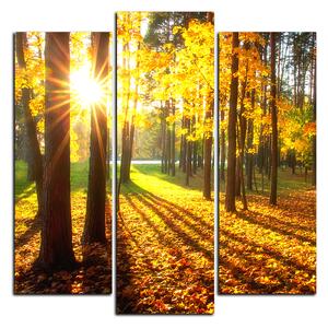 Slika na platnu - Jesenja šuma - kvadrat 3176C (75x75 cm)