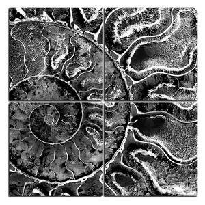 Slika na platnu - Tekstura fosila - kvadrat 3174QE (60x60 cm)