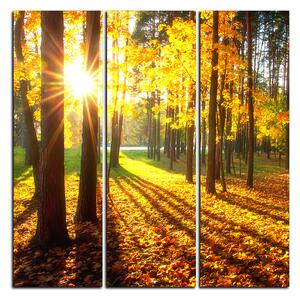 Slika na platnu - Jesenja šuma - kvadrat 3176B (75x75 cm)