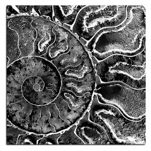 Slika na platnu - Tekstura fosila - kvadrat 3174QA (50x50 cm)