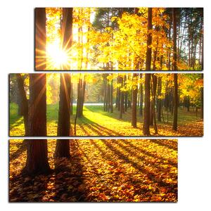 Slika na platnu - Jesenja šuma - kvadrat 3176D (75x75 cm)