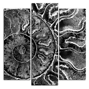 Slika na platnu - Tekstura fosila - kvadrat 3174QC (75x75 cm)
