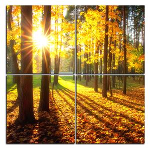 Slika na platnu - Jesenja šuma - kvadrat 3176E (60x60 cm)