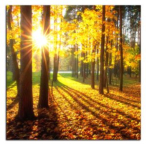 Slika na platnu - Jesenja šuma - kvadrat 3176A (50x50 cm)