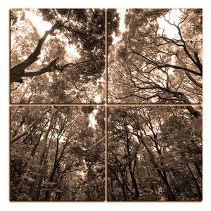 Slika na platnu - Zeleno drveće u šumi - kvadrat 3194FE (60x60 cm)