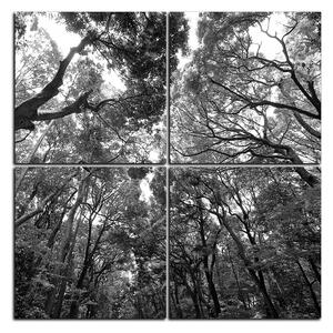 Slika na platnu - Zeleno drveće u šumi - kvadrat 3194QE (60x60 cm)