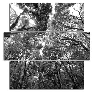 Slika na platnu - Zeleno drveće u šumi - kvadrat 3194QD (75x75 cm)