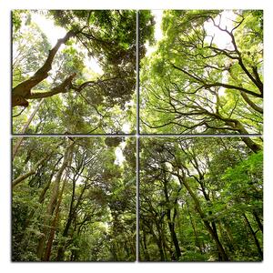 Slika na platnu - Zeleno drveće u šumi - kvadrat 3194E (60x60 cm)