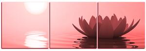 Slika na platnu - Zen lotos - panorama 5167CB (90x30 cm)