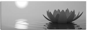Slika na platnu - Zen lotos - panorama 5167QA (105x35 cm)