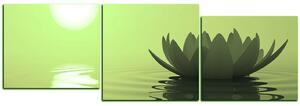Slika na platnu - Zen lotos - panorama 5167ZD (90x30 cm)
