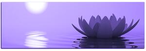 Slika na platnu - Zen lotos - panorama 5167VA (105x35 cm)
