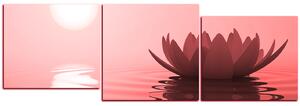 Slika na platnu - Zen lotos - panorama 5167CD (150x50 cm)
