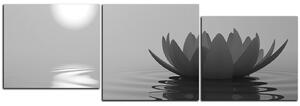Slika na platnu - Zen lotos - panorama 5167QD (90x30 cm)