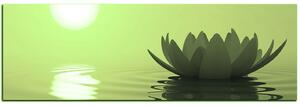 Slika na platnu - Zen lotos - panorama 5167ZA (105x35 cm)