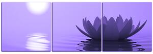 Slika na platnu - Zen lotos - panorama 5167VB (150x50 cm)