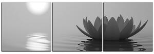 Slika na platnu - Zen lotos - panorama 5167QB (150x50 cm)