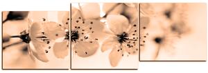 Slika na platnu - Mali cvjetovi na grani - panorama 5173FE (90x30 cm)