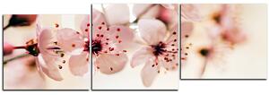 Slika na platnu - Mali cvjetovi na grani - panorama 5173E (150x50 cm)