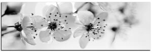 Slika na platnu - Mali cvjetovi na grani - panorama 5173QA (105x35 cm)