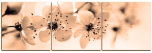 Slika na platnu - Mali cvjetovi na grani - panorama 5173FB (90x30 cm)