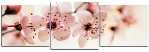 Slika na platnu - Mali cvjetovi na grani - panorama 5173D (150x50 cm)