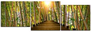 Slika na platnu - Drvena šetnica u šumi bambusa - panorama 5172E (90x30 cm)