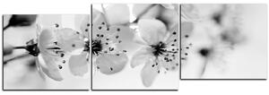 Slika na platnu - Mali cvjetovi na grani - panorama 5173QE (150x50 cm)