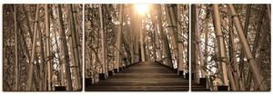 Slika na platnu - Drvena šetnica u šumi bambusa - panorama 5172FC (90x30 cm)