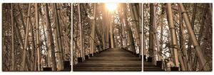 Slika na platnu - Drvena šetnica u šumi bambusa - panorama 5172FB (90x30 cm)