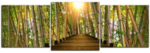 Slika na platnu - Drvena šetnica u šumi bambusa - panorama 5172D (90x30 cm)