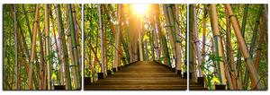 Slika na platnu - Drvena šetnica u šumi bambusa - panorama 5172C (90x30 cm)