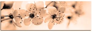 Slika na platnu - Mali cvjetovi na grani - panorama 5173FA (105x35 cm)