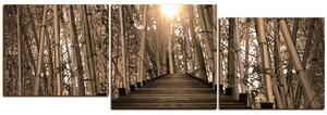 Slika na platnu - Drvena šetnica u šumi bambusa - panorama 5172FE (150x50 cm)