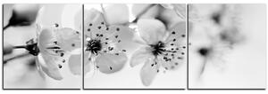 Slika na platnu - Mali cvjetovi na grani - panorama 5173QC (90x30 cm)