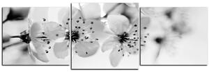 Slika na platnu - Mali cvjetovi na grani - panorama 5173QD (90x30 cm)