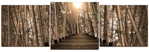 Slika na platnu - Drvena šetnica u šumi bambusa - panorama 5172FD (90x30 cm)