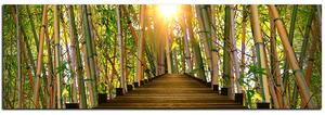 Slika na platnu - Drvena šetnica u šumi bambusa - panorama 5172A (105x35 cm)