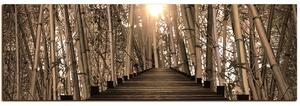Slika na platnu - Drvena šetnica u šumi bambusa - panorama 5172FA (105x35 cm)