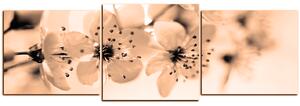 Slika na platnu - Mali cvjetovi na grani - panorama 5173FD (150x50 cm)