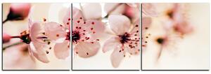 Slika na platnu - Mali cvjetovi na grani - panorama 5173B (150x50 cm)