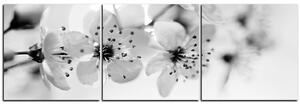 Slika na platnu - Mali cvjetovi na grani - panorama 5173QB (90x30 cm)