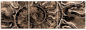 Slika na platnu - Tekstura fosila - panorama 5174FB (150x50 cm)