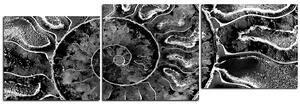 Slika na platnu - Tekstura fosila - panorama 5174QE (150x50 cm)