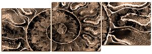 Slika na platnu - Tekstura fosila - panorama 5174FE (90x30 cm)