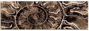 Slika na platnu - Tekstura fosila - panorama 5174FA (105x35 cm)