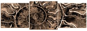 Slika na platnu - Tekstura fosila - panorama 5174FD (150x50 cm)