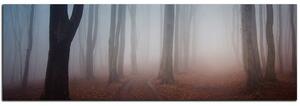Slika na platnu - Magla u šumi - panorama 5182A (105x35 cm)