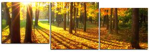 Slika na platnu - Jesenja šuma - panorama 5176E (150x50 cm)